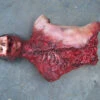 Deluxe Skull And Gore Torso 1 Deluxe Skull And Gore Torso -Bloodline Effects Store 60a069 c30c6b6e60e949bdaf17343919be1d6emv2
