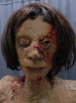 Putrid Holly Head Prop -Bloodline Effects Store 60a069 cab1e7b096b9440a8ef1d68c98abc5b5mv2