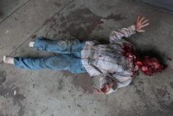 Smashed Oscar Head Figure -Bloodline Effects Store 60a069 cd48962582164ea0a2c2efa16694b7b7mv2