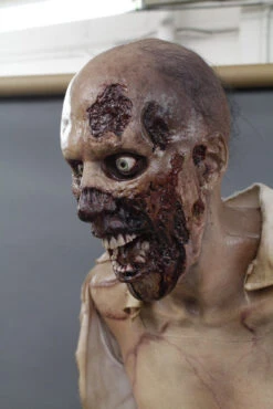 Zombie Zack Full Size Prop 15 Zombie Zack Full Size Prop -Bloodline Effects Store 60a069 ce84294be8674f38b43c0c711087517dmv2