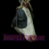 Severed Full Size Cow Head -Bloodline Effects Store 60a069 d041d6413c3946aaaba66bc7230e8ab6mv2