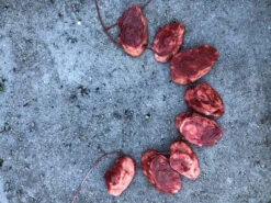 Severed Ear Necklace -Bloodline Effects Store 60a069 d731130b270b4cf2bebb66a4bfca8d5dmv2