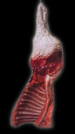 4 Foot All Latex Side Of Beef Prop SUPER DEAL 5 4 Foot All Latex Side Of Beef Prop SUPER DEAL -Bloodline Effects Store 60a069 dad28831598d40d8aa9ca7ada6f4aaefmv2