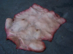 Human Torso Skin -Bloodline Effects Store 60a069 dbf93e75b1ca4abd98a7d5bfe16dd80fmv2