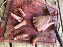 Cutting Board With Magnetic Fingers