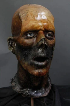 Sallow Head -Bloodline Effects Store 60a069 e46a316aa175403f90a80cc28318f0bfmv2