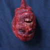 Hanging Skinned Kemmler Head -Bloodline Effects Store 60a069 e5ab02365df34ae2b7c2e8f8d243322amv2