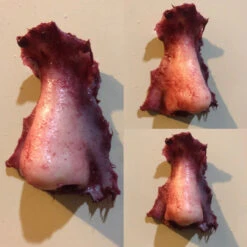 Severed Nose Magnet -Bloodline Effects Store 60a069 eab12419b6a5456796b475ecc468f484mv2