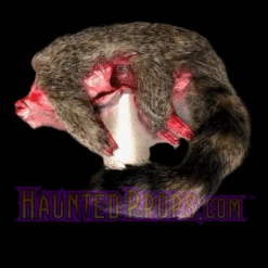 Animal Prop Raccoon -Bloodline Effects Store 60a069 eaed3b2939e14083bce1391b540f9895mv2