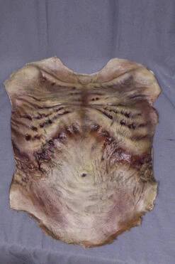 Zombie Torso SkinProfessional Quality -Bloodline Effects Store 60a069 f2313c4f5e4e4e699ea7ee89206f63e6mv2