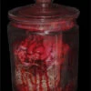 Bloody Brain In A Jar