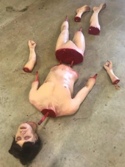 Puzzle Turner Body 11 Puzzle Turner Body -Bloodline Effects Store 60a069 f58825ee87ad423493ff536a8086c0cbmv2