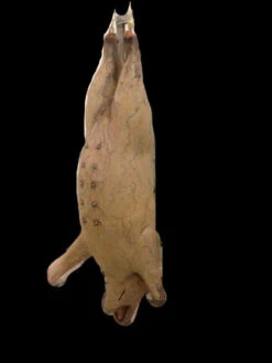 56" Hanging Pig Prop -Bloodline Effects Store 60a069 ff80dce868a842a691834a8dd6c36744mv2