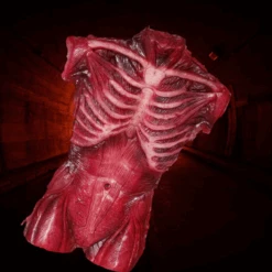 Muscle Torso Skin -Bloodline Effects Store 82c588 014abcd0bffe484e9e1f400fd6edb2bemv2