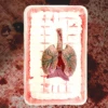 Butcher Shop Lung -Bloodline Effects Store 82c588 01738746165b4483a02b34d867d24d76mv2