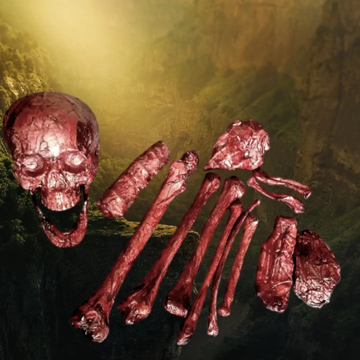 12 Piece Bloody Bones 3 12 Piece Bloody Bones