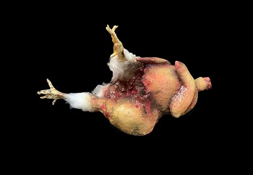 Putrid Gutted Chicken Prop 3 Putrid Gutted Chicken Prop