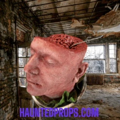 Head Dish 2 -Bloodline Effects Store 82c588 08d421623a8548b691e1d8264c78fd3dmv2