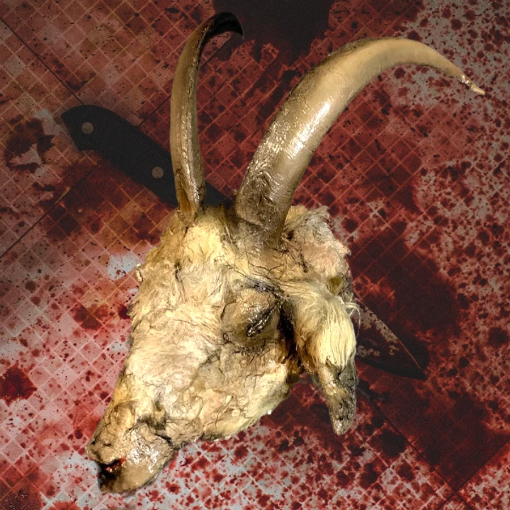 Animal Prop Goat Head Rotted Buck 3 Animal Prop Goat Head Rotted Buck