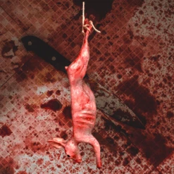 Animal Prop Rabbit Hanging Skinned - Cotton Tail -Bloodline Effects Store 82c588 0b607ec5f60b4bbf9bf0da238f8a0a49mv2