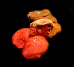 Butcher Poultry Giblets -Bloodline Effects Store 82c588 0cb035a6fd5b422dad711dfd2ee7b797mv2