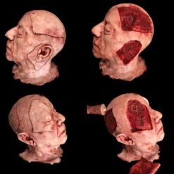 Severed Head With Magnetics -Bloodline Effects Store 82c588 0de0983dd1414994808698cc120fb7e7mv2