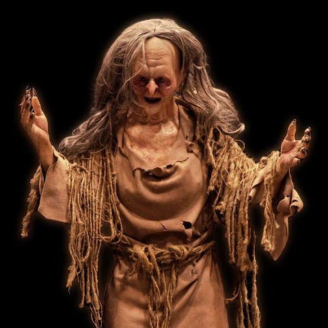 Forest Witch Prop 3 Forest Witch Prop