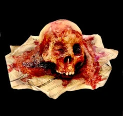 “Rotted Skull On Paper”
