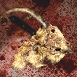 Animal Prop Goat Head Rotted Deluxe -Bloodline Effects Store 82c588 12e9bd6578db4709885bb9a3d6a4030emv2