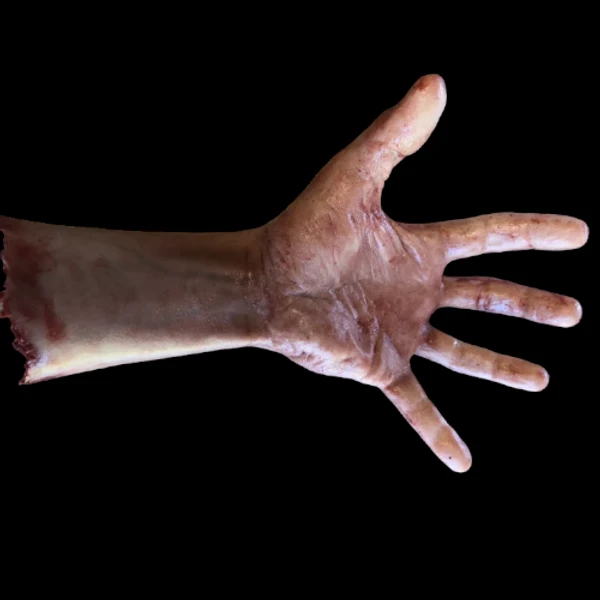 Severed Male Arm With Fingers Spread 3 Severed Male Arm With Fingers Spread