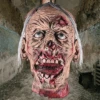 Severed Head Joe -Bloodline Effects Store 82c588 185e1f6968ba4f9bb5110e060325e845mv2