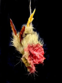 Headless Brown Dismembered Chicken -Bloodline Effects Store 82c588 1df5d70440bd4167ba0fb16c1e556d8amv2