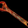 Rusty Bloody Wrench Prop 1 Rusty Bloody Wrench Prop -Bloodline Effects Store 82c588 2006607c4bde438982994ac388476130mv2