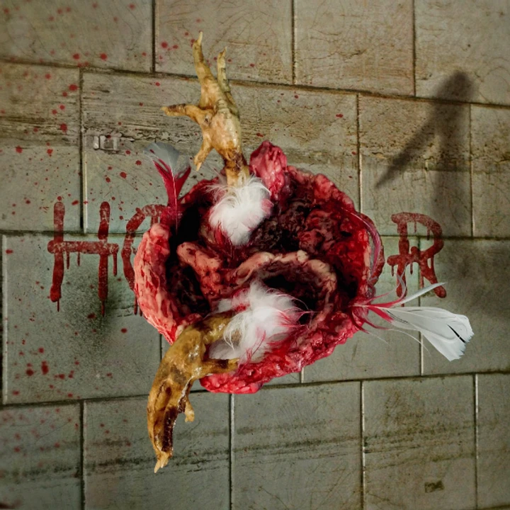 Bowl Of Chicken Goo 3 Bowl Of Chicken Goo