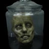 Head In A Jar -Bloodline Effects Store 82c588 2f5f1f6acf2c4d3886d19b40b7036f73mv2