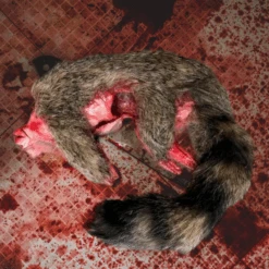 Animal Prop Raccoon -Bloodline Effects Store 82c588 31724357b1e4488a86aeee32fb229badmv2