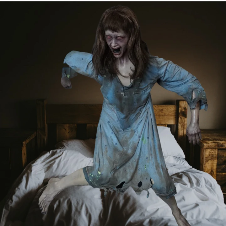 Posessed Wall Hanging Agatha Dummy 11 Posessed Wall Hanging Agatha Dummy - Image 9