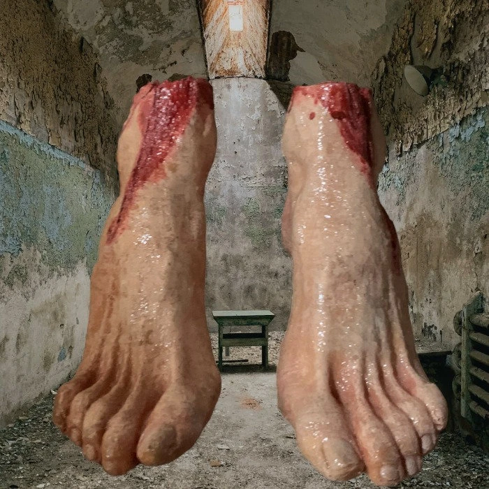 Pair Of Female Feet 3 Pair Of Female Feet