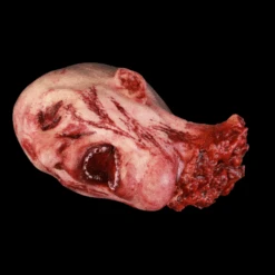 Splatter Martin Head -Bloodline Effects Store 82c588 3991498df80240c7b6ae8fd0cba48d98mv2