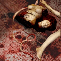Female Mutilation Combo -Bloodline Effects Store 82c588 3b1246f6fdd34ae6a37573c11d68a984mv2