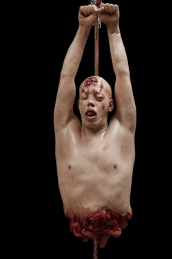 Oscar Hanging Meat -Bloodline Effects Store 82c588 4506bb4d29824e3ca2d4e9164a63ebcemv2