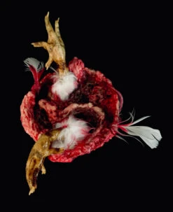 Bowl Of Chicken Goo 7 Bowl Of Chicken Goo -Bloodline Effects Store 82c588 47f1d58ae99a4ab09c2f6fc266fc7890mv2