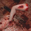 Blood Splatter Jamie Leg -Bloodline Effects Store 82c588 4826deae5fc34edb92b99ac513cbda38mv2