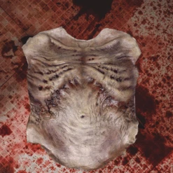 Zombie Torso SkinProfessional Quality -Bloodline Effects Store 82c588 49f1b02eae724239aad355a16d6f3475mv2
