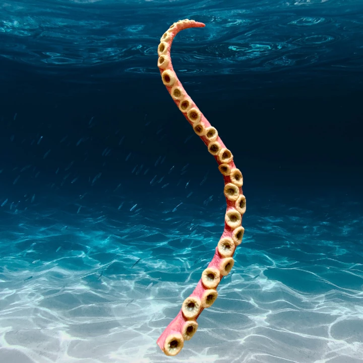 45 Inch Prop Flexible Tentacle. Latex Skinned 4 45 Inch Prop Flexible Tentacle. Latex Skinned - Image 2