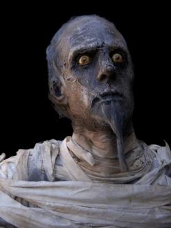 KING KARNAK STANDING MUMMY BODY -Bloodline Effects Store 82c588 4dca8b76b70c4e30aba51a7c039af8d5mv2