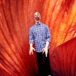 Dental Attack Zack Figure -Bloodline Effects Store 82c588 52893156616645a2928418310895b105mv2