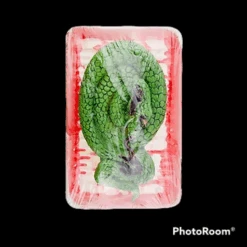 Butcher Shop Green Snake -Bloodline Effects Store 82c588 5412d2ebd647466b93ca493f8bafa339mv2