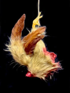 Headless Brown Dismembered Chicken -Bloodline Effects Store 82c588 54c9524a5a0844f3a5eb79145d96ee3fmv2
