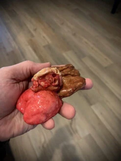 Butcher Poultry Giblets -Bloodline Effects Store 82c588 561c4d1e8ea54586a40e0930e06467c0mv2